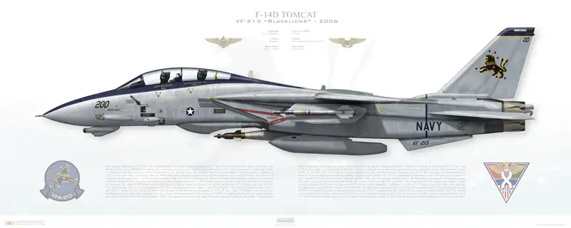 VF-213 Print