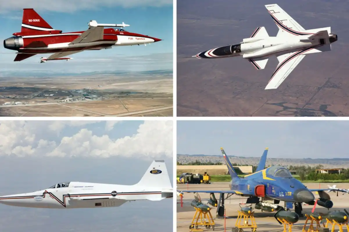 The strangest looking F-5 developments